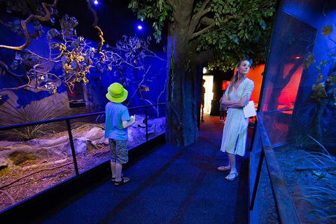 Wildlife Habitat Port Douglas - Accommodation Mooloolaba 4
