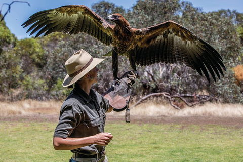 One Day Kangaroo Island Sip & See Tour With Return Ferry Transfers From Adelaide - Accommodation Mooloolaba 0