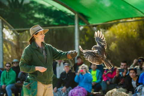 One Day Kangaroo Island Sip & See Tour With Return Ferry Transfers From Adelaide - Accommodation Mooloolaba 3