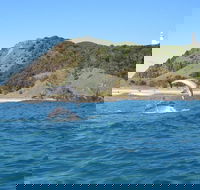 Kayaking with Dolphins in Byron Bay Guided Tour - Accommodation Mooloolaba