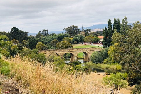 Day Tour In Mt. Field, Mt. Wellington, Bonorong Wildlife Sanctuary And Richmond - Accommodation Mooloolaba 3