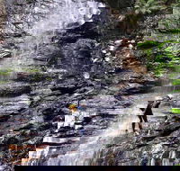 Full-Day Canyoning Experience at Stunning Empress Canyon - Accommodation Mooloolaba