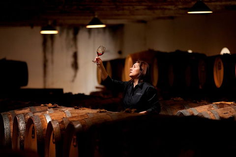 Seppeltsfield Centenary Tour - Accommodation Mooloolaba 3