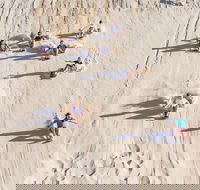Unlimited Sandboarding - Accommodation Mooloolaba