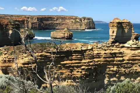 Great Ocean Road Reverse Itinerary Tour - Accommodation Mooloolaba 1