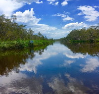 Noosa Everglades Serenity Cruise  Highlights Tour Inc. Lunch  Cruise - Accommodation Mooloolaba