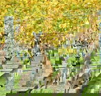 Margaret River Indulge and Discover Day Tour - Accommodation Mooloolaba