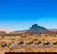 Alice Springs Camel Tour - Accommodation Mooloolaba