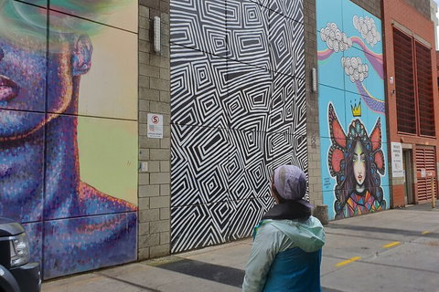 Jimmy C Street Art Walking Tour - Accommodation Mooloolaba 2