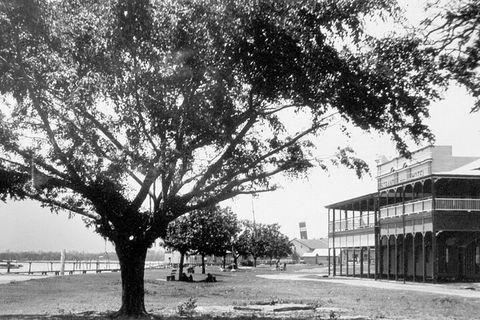 Cairns History Walking Tour - Accommodation Mooloolaba 2