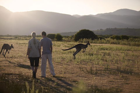 Overnight Daylesford And Macedon Ranges Gourmet Food Trail Tour From Melbourne - Accommodation Mooloolaba 1