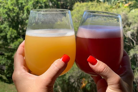 Hipster Sipster Brewery And Distillery Tour - Accommodation Mooloolaba 3