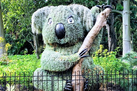 Discover Sydney - Botanic - Accommodation Mooloolaba 1