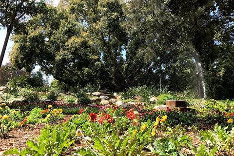 Discover Sydney - Botanic - Accommodation Mooloolaba 3