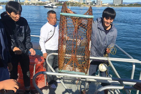 Crab Trip From Gold Coast - Accommodation Mooloolaba 1