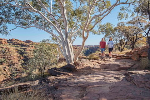 3-Day Tour From Uluru (Ayers Rock) To Alice Springs Via Kings Canyon - Accommodation Mooloolaba 1