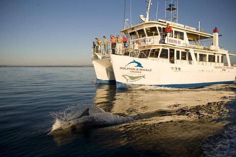 Jervis Bay Dolphin Watch Cruise - Accommodation Mooloolaba 3