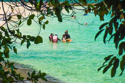 Green Island Day Trip From Cairns - Accommodation Mooloolaba 2