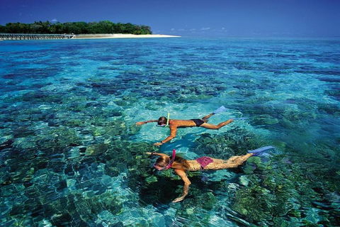 Green Island Day Trip From Cairns - Accommodation Mooloolaba 5