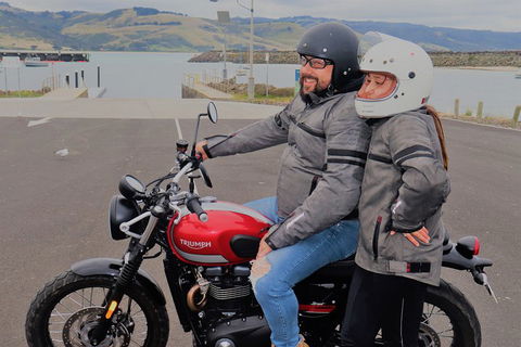 Triumph Street Scrambler 900cc - Accommodation Mooloolaba 1