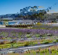 Private Hobart Discover South East Food and Scenic Tour - Accommodation Mooloolaba