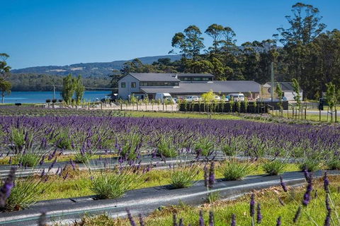Private Hobart Discover South East Food And Scenic Tour - Accommodation Mooloolaba 0