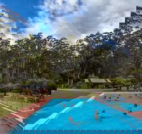 Tahune Airwalk Active Day Trip from Hobart Including Hastings Caves - Accommodation Mooloolaba