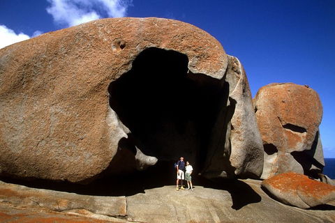 Full-Day Kangaroo Island Safari From Penneshaw - Accommodation Mooloolaba 0