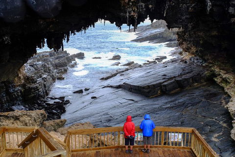 Full-Day Kangaroo Island Safari From Penneshaw - Accommodation Mooloolaba 1