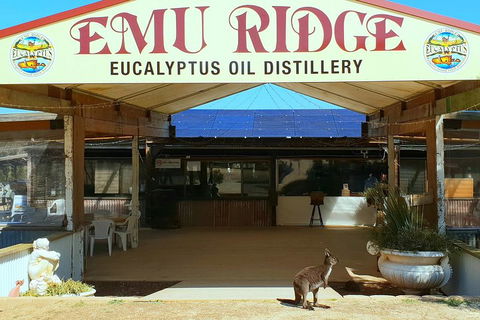 Full-Day Kangaroo Island Safari From Penneshaw - Accommodation Mooloolaba 2