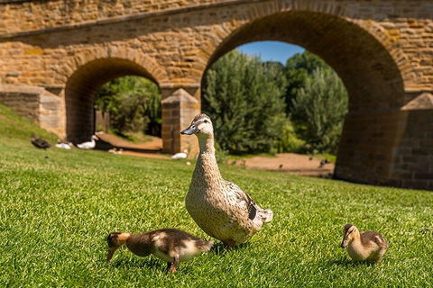 Richmond Historic Afternoon Tour From Hobart - Accommodation Mooloolaba 1