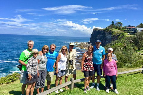 Shore Excursion: Sydney's Northern Beaches & Ku-ring-gai National Park Bus Tour - Accommodation Mooloolaba 0