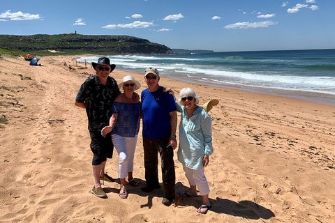 Shore Excursion: Sydney's Northern Beaches & Ku-ring-gai National Park Bus Tour - Accommodation Mooloolaba 3