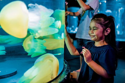 SEA LIFE Sydney Aquarium Entrance Ticket - Accommodation Mooloolaba 5
