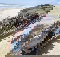3 Day Tasmanian Wild West Coast Tour from Hobart to Launceston - Accommodation Mooloolaba