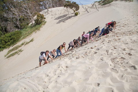 3 Day Tasmanian Wild West Coast Tour From Hobart To Launceston - Accommodation Mooloolaba 2