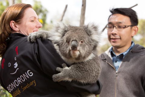 Bonorong Wildlife Park And Richmond Afternoon Tour From Hobart - Accommodation Mooloolaba 0