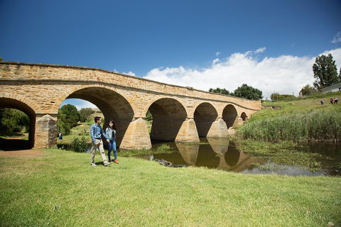 Bonorong Wildlife Park And Richmond Afternoon Tour From Hobart - Accommodation Mooloolaba 2