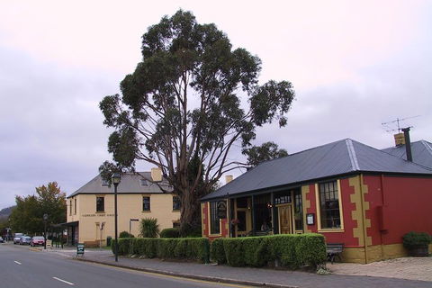 Bonorong Wildlife Park And Richmond Afternoon Tour From Hobart - Accommodation Mooloolaba 3