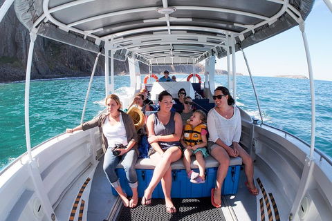 Seal Island Boat Tour From Victor Harbor - Accommodation Mooloolaba 1