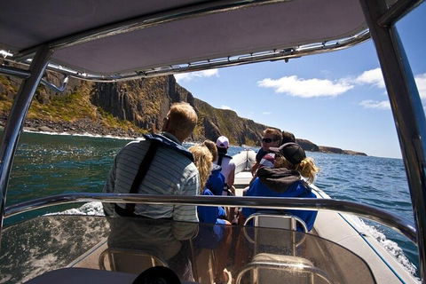 Seal Island Boat Tour From Victor Harbor - Accommodation Mooloolaba 2
