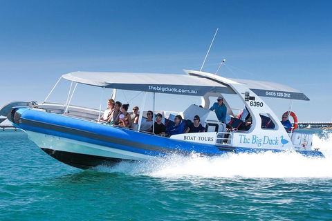 Seal Island Boat Tour From Victor Harbor - Accommodation Mooloolaba 3