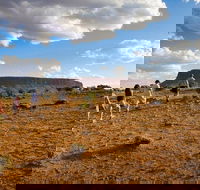 Mount Conner 4WD Small Group Tour from Ayers Rock including Dinner - Accommodation Mooloolaba