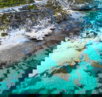 Rottnest Island Round-Trip Ferry from Perth or Fremantle - Accommodation Mooloolaba