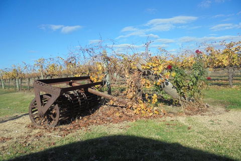 Swan Valley Tour From Perth: Wine, Beer And Chocolate Tastings - Accommodation Mooloolaba 3