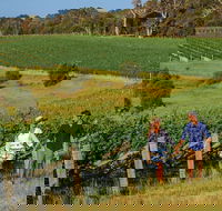 10 Day Perth to Adelaide Private Tour - The Great Australian Wilderness Journey - Accommodation Mooloolaba
