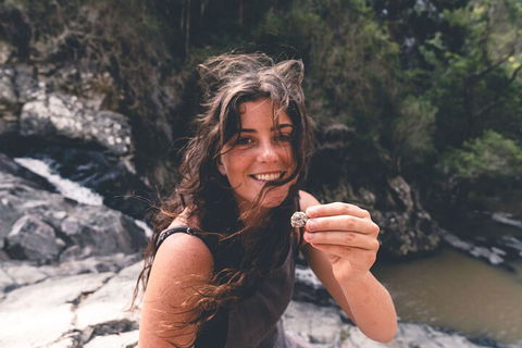 Springbrook AndTamborine Rainforest Tour Incl Natural Bridge And Glow Worm Cave - Accommodation Mooloolaba 1