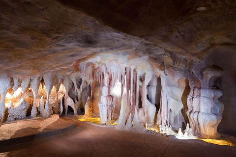 Springbrook AndTamborine Rainforest Tour Incl Natural Bridge And Glow Worm Cave - Accommodation Mooloolaba 4