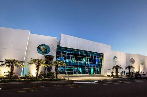 Cairns Aquarium Admission Ticket - Accommodation Mooloolaba 4