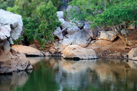 Windjana Gorge And Tunnel Creek 4WD Tour From Broome - Accommodation Mooloolaba 5